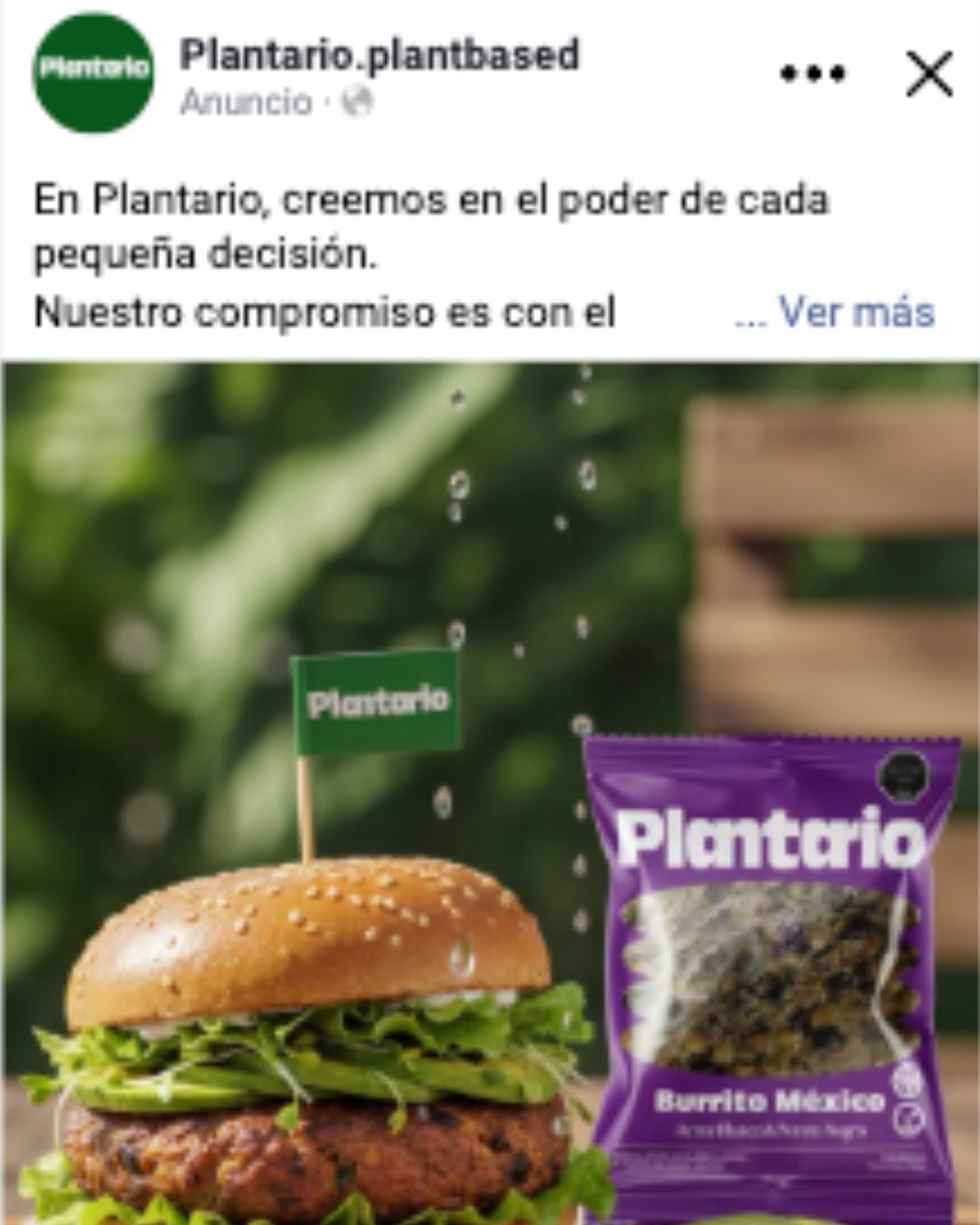 Feed IG — sabores del mundo